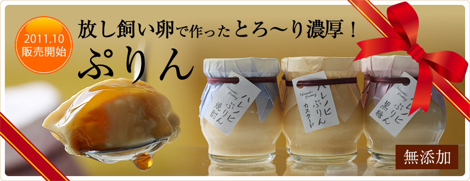 放し飼い卵で作ったとろ～り濃厚！プリン