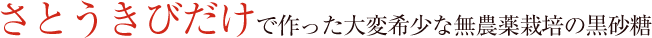 さとうきびだけで作った大変希少な無農薬栽培の黒砂糖